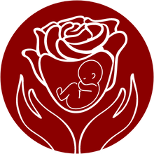 Frucht der Rose